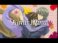 JUNJOU ROM&Aacute;NTICA : KIMI HANA LYRICS
