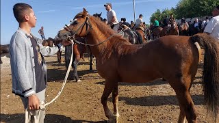 Shahidon ot bozori bugungi narhlar bilan tanishing 28.05.2024yil