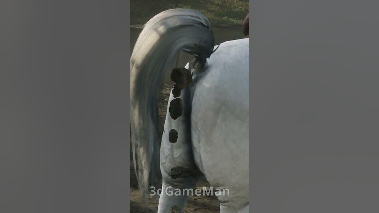 Horse Manure Red Dead Redemption 2 (RDR2) rdr2 YouTube