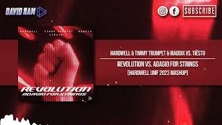 Revolution vs. Adagio For Strings (Hardwell UMF 2023 Mashup) [David Nam Remake]