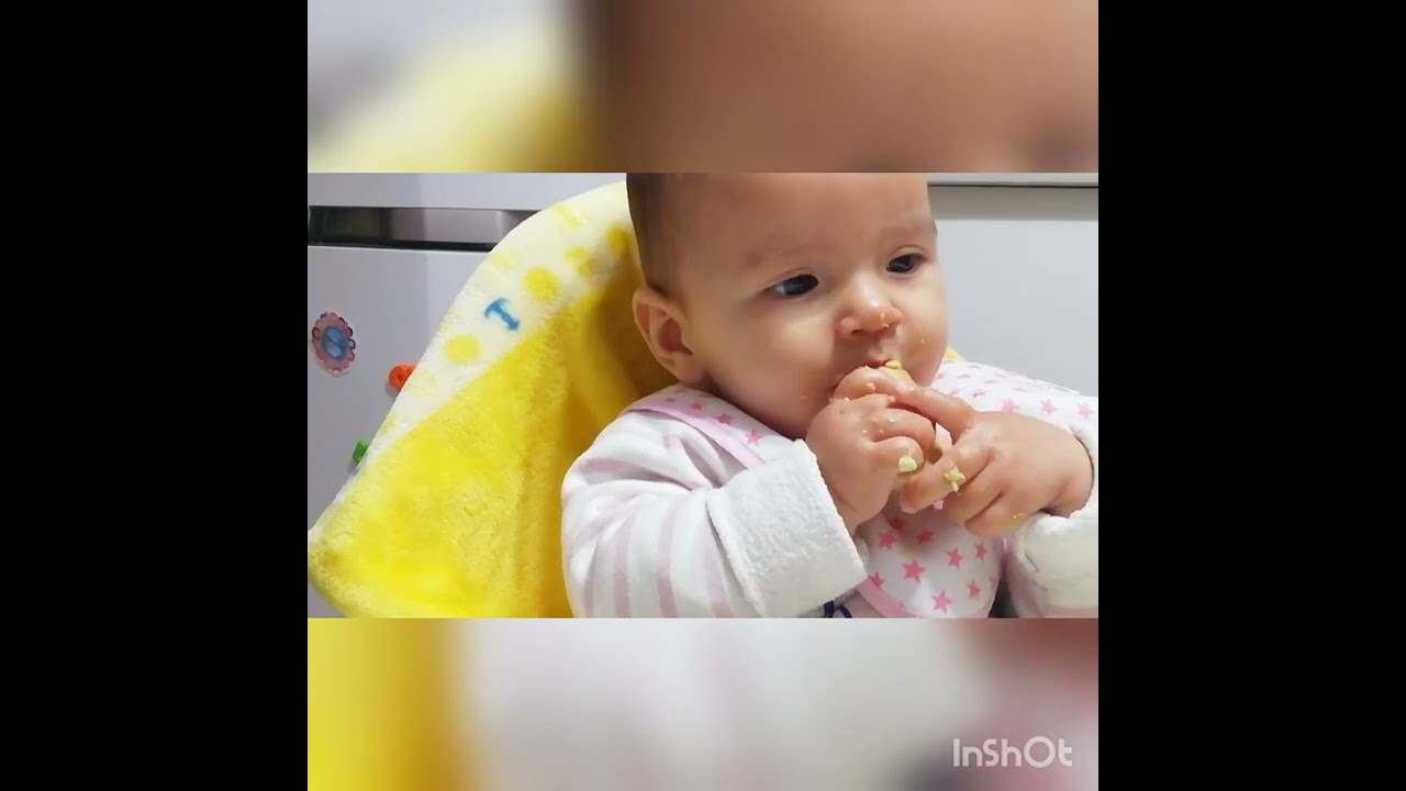 BGL - Como servir el aguacate🥑 a los bebes vía Baby Led Weaning