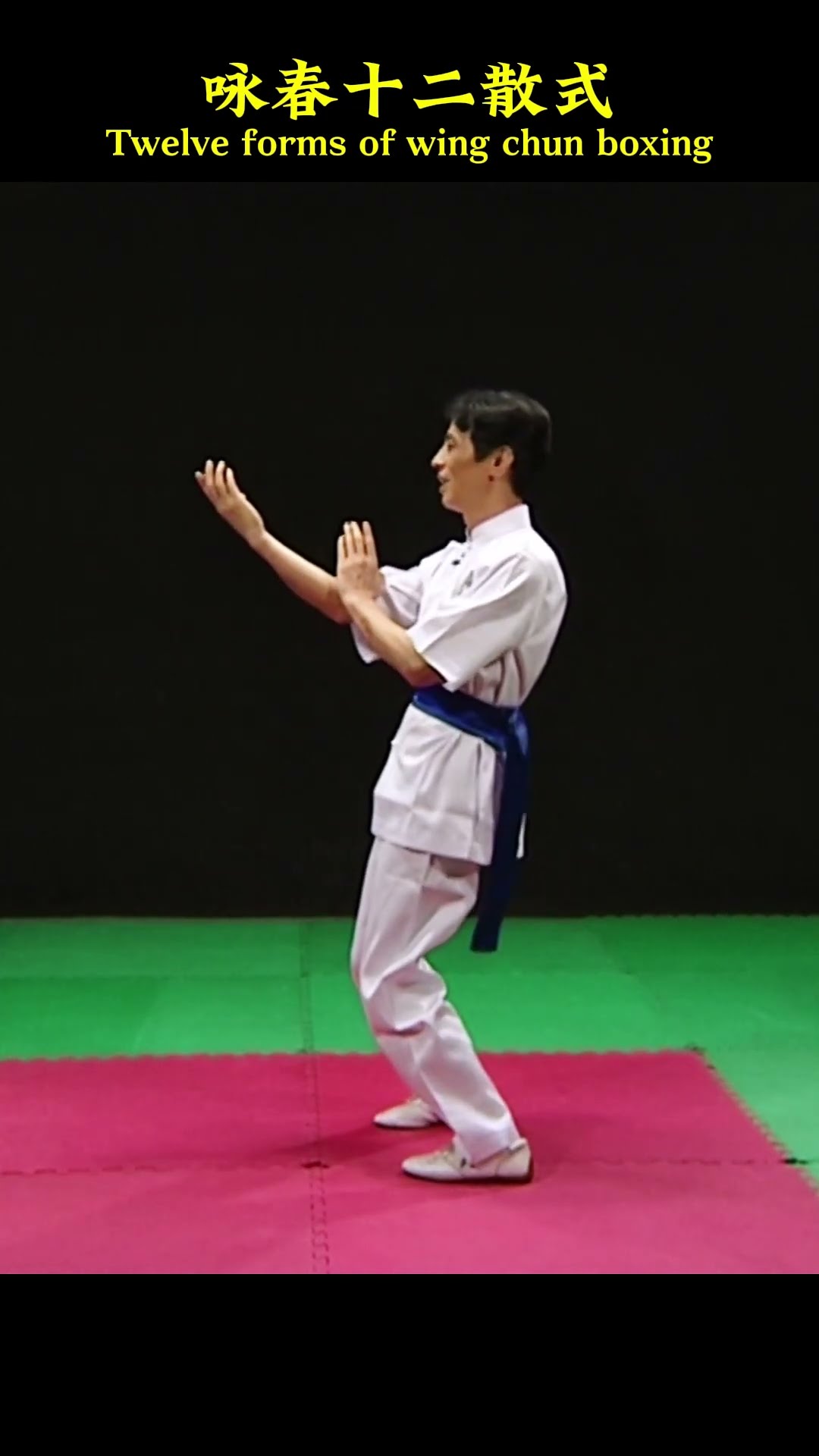 Close Range Combat Wing Chun 3 詠春拳 Close Range Combat Wing Chun 3 詠春拳 - メルカリ