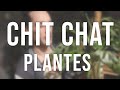 Chit chat plantes  haul  programme des vidos 