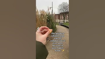 University of Manchester campus tour in 8 seconds