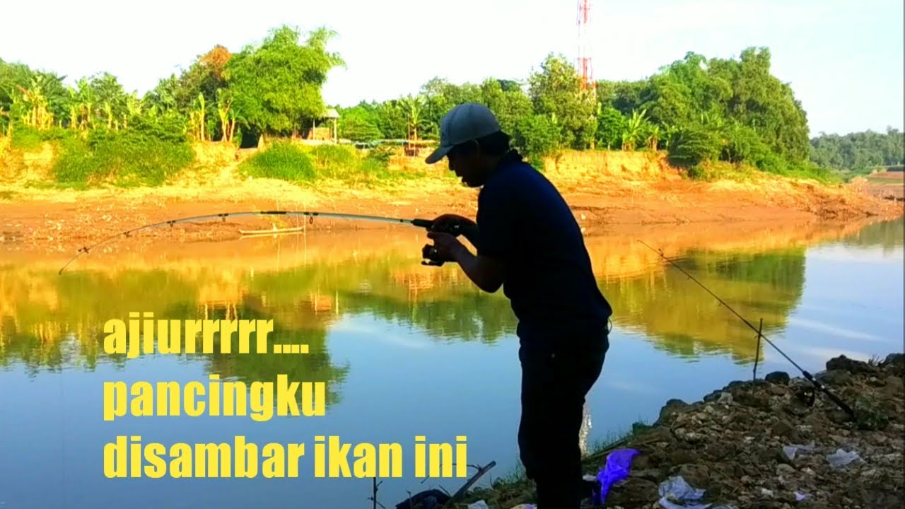Mancing di Bengawan solo umpan tempe goreng dapat straick ikan ini