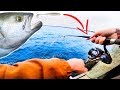 FISHING Inshore DOCKS For Predator BLUE FISH!