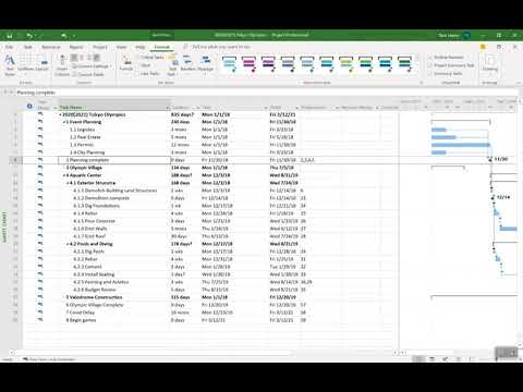 General Tips and Tricks to make Microsoft Project much Easier to use!
