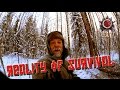 Reality Of Survival. Saws Vs Axes And How To Harvest Chaga