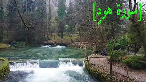 سُورَةُ هُودٍ بصوت الشيخ عبد الرحمن بن موسى رواية ورش عن نافع تجويد رائع