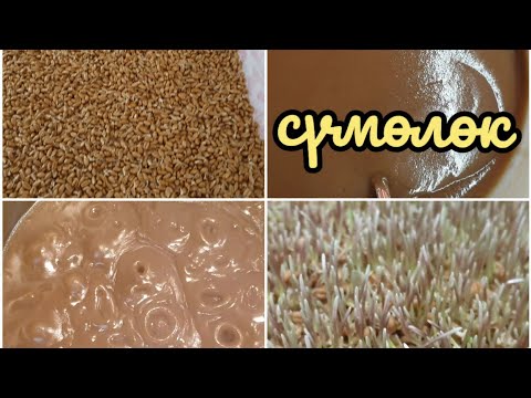 Video: Minecraftта буудайды кантип өстүрүү керек