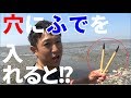 筆（ふで）を穴に入れて天然のシャコを捕まえる！！