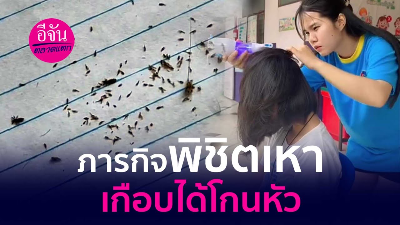 ภารกิจพิชิตเหา เกือบได้โกนหัว | อีจัน EJAN