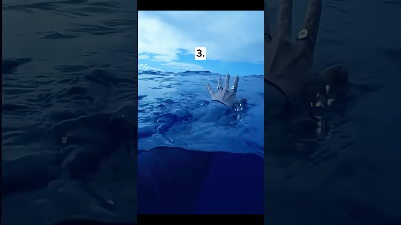 Phobia Test Monophobia 