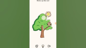 how to owl wake up in sun 🌞😴 || #puzzle #brainout #braintest #owl #wakeup #sun  @BrainOut-Solve