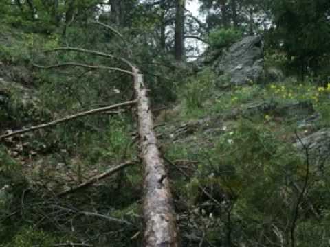 ასე ჩვენ სოფელს ვერ ავაშენებთ