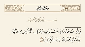 ﴿ وَلِلَّهِ يَسْجُدُ مَا فِي السَّمَاوَاتِ وَمَا فِي الْأَرْضِ مِن دَابَّةٍ..۩﴾[ النحل: الآية 49]