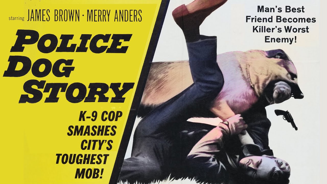 Police Dog Story (1961) CRIME DRAMA - YouTube