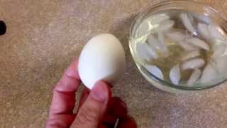 How to Tell if Eggs are Bad How to Tell if Eggs are Bad
