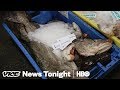 Britain's Fish Capital Voted To Leave The EU — Now They Want It Back (HBO)