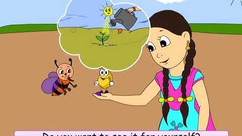 Class 5 EVS Chapter - 5 "Seeds and Seeds" cbse ncert english Environmental Looking Around