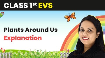 Class 1 EVS | Plants Around Us - Explanation
