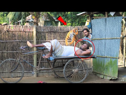 Fake Tiger And Fake Snake Prank on Sleeping Guy! New Funny Jokes Video For Laughing!!