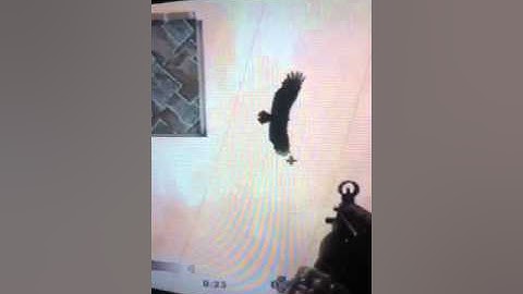 My Cod4 Mod Codes  Video.