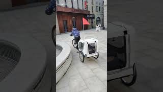 assemble pawhut dog bike trailer with my children assemble pawhut dog bike trailer with my children
