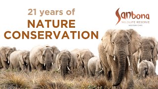 21 years of conservation at Sanbona Wildlife Reserve