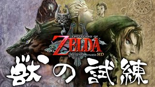 ハートMAXわんわんおを作ります。【ゼルダの伝説トワイライト