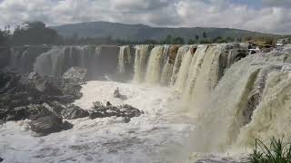 Download Lagu Lotus Pond   Aakash Gandhi MP3