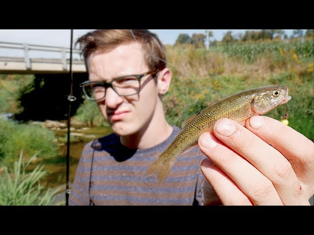 Watch What Would Try To Eat This? Making a Gnarly CreekChub