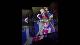 Ribrianne vs Sailor Moon Wealth