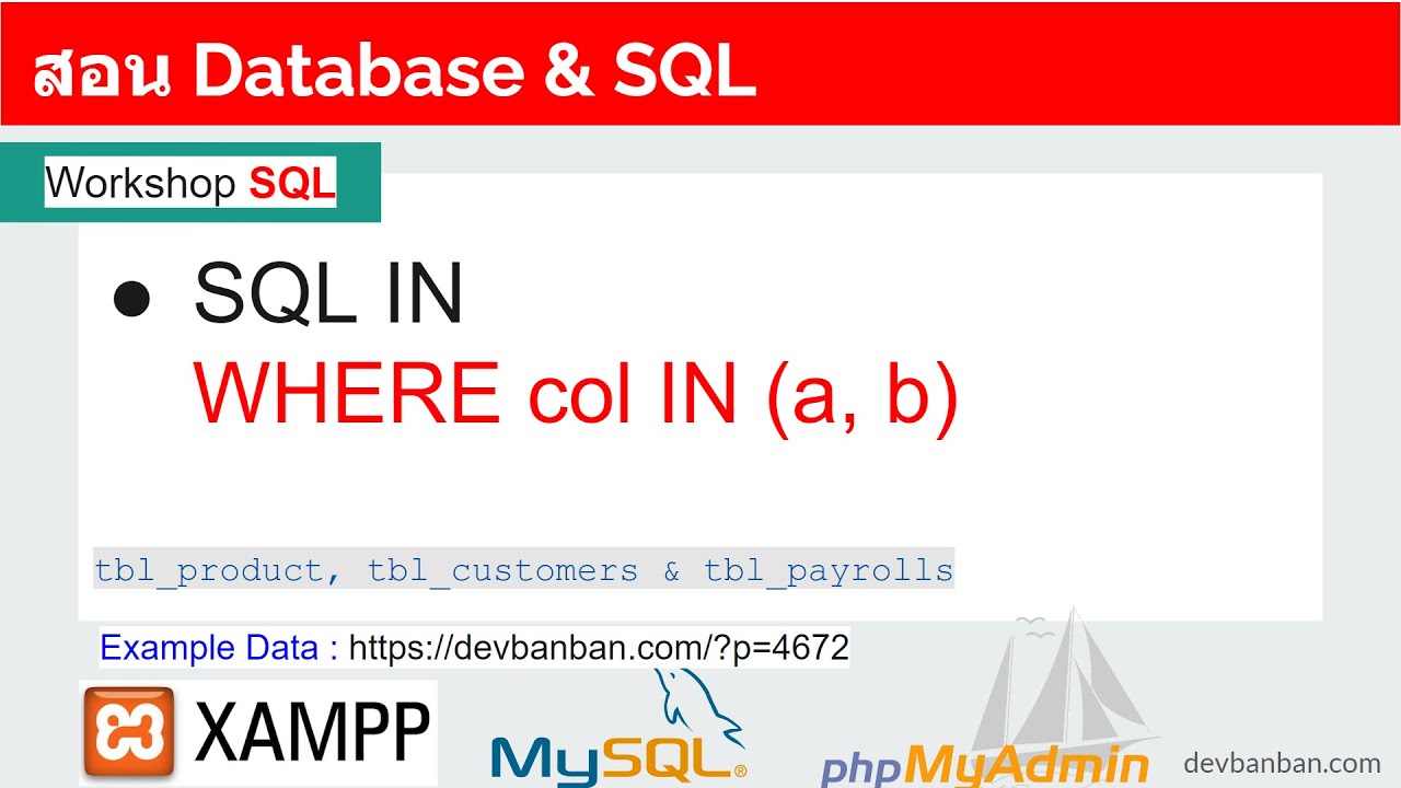 สอน SQL IN Operator การเรียกดูข้อมูลที่ต้องการ บน phpMyAdmin - YouTube