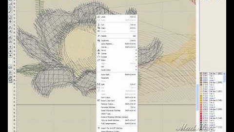 using embird editorto resize