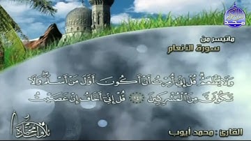 محمد ايوب ما تيسر من سورة الانعام تلاوات مختارة من قناة المجد HD