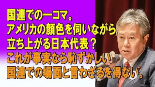 国連での一コマ。アメリカの顔色を伺いながら立ち上がる日本代表これが事実なら恥ずかしい国連での場面と言わざるを得ない。