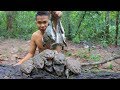 Found a lot Frogs Underground Tree Decay the Cook Recipe in forest