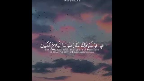 القارئ رعد الكردي تلاوة هادئة ♡ ارح قلبك حالات واتس اب / ستوريات قرآن || Quran status