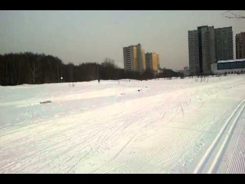 Алешкинский лес лыжная трасса