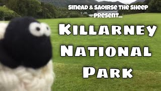 HOBBIT HORNPIPE | KILLARNEY NATIONAL PARK | TRAVEL IRELAND