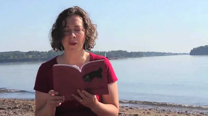 ROCKING THE PAGE: Canadian Writers Share Their Wor...