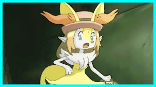 LEAVE BRAIXEN ALONE