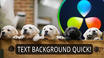 Add Text Background Fast in DaVinci Resolve | Quick Tip Tuesday!