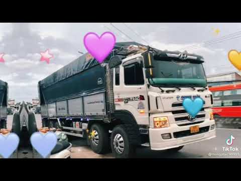 tik tok xe