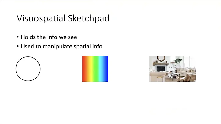 The Working Memory Model (Baddeley and Hitch, 1974) - Edexcel A Level Psychology