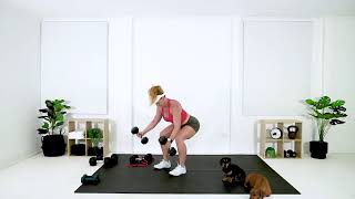 Squat Hold Dumbbell Fly