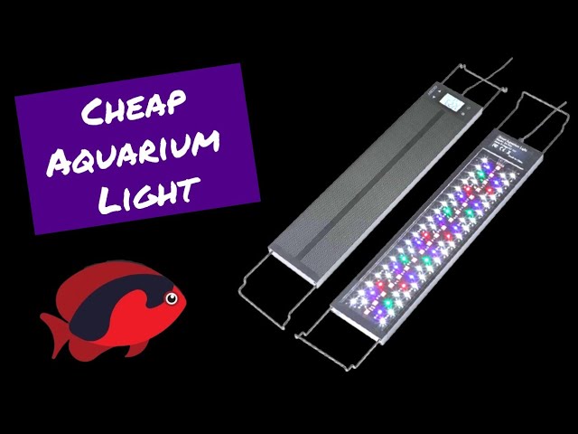 How To Recharge Seachem Purigen - Odin Aquatics