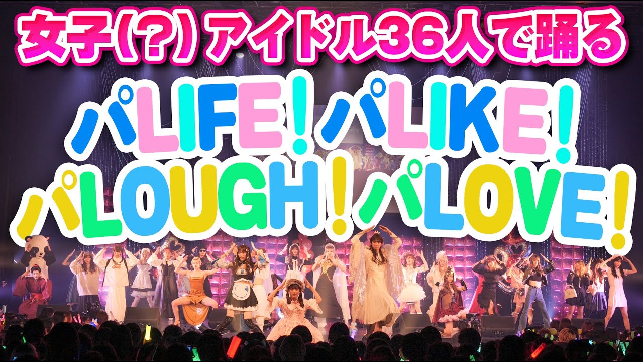 【パンダフェアリー】パLIFE！パLIKE！パLOUGH！パLOVE！ 【MissMoa.対バンライブ in 豊洲PIT】