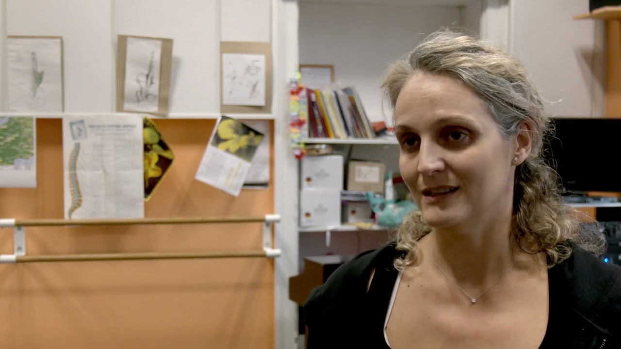 Une classe CHAD au collège Renoir